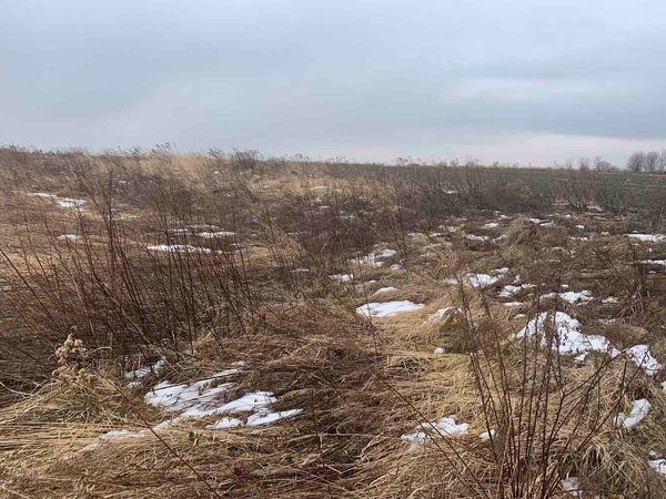 08 Фотографічні зображення земельної ділянки