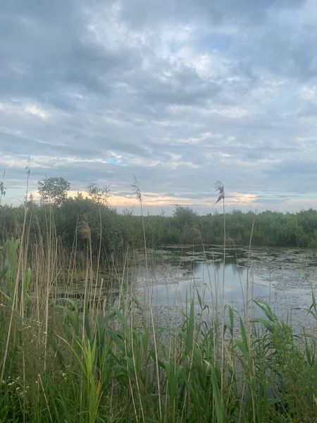 Фотографічні зображення