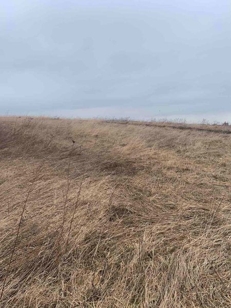 08 Фотографічні зображення земельної ділянки