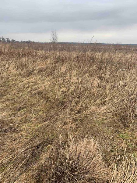 08 Фотографічні зображення земельної ділянки